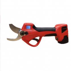 CISEAUX DE TAILLE CAMPEON...