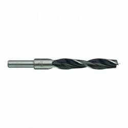 MILWAUKEE MÈCHE 3 POINTES 15X95MM (X1) (4932363663)